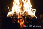 Pini Kay Premium Buchenholzbriketts 960kg Palette – Bild 9
