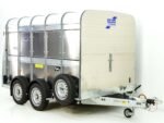 Ifor Williams Viehanhänger TA510 10×6 178×311 cm Höhe: 183 cm | Rampe/Tür-Neu – Bild 2