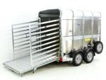 Ifor Williams Viehanhänger TA5 8×6 156×241 cm Höhe: 183 cm | 2,7t-Neu – Bild 4