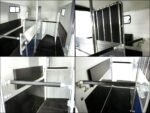 Cheval Liberte Pferdeanhänger Multi Max 2 | grau-Neu – Bild 10