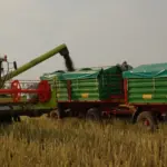 Zweiachs-Dreiseitenkipper Falk DB14 t LF – Bild 5