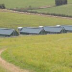 Mobiler Hühnerstall für 650 Hühner 75m2 – Bild 5
