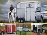 Ifor Williams Pferdeanhänger HB506|Frontausstieg|Klappenkombi|schwarz-Neu – Bild 14
