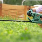 Bosch Elektrische Heckenschere EasyHedgeCut 55