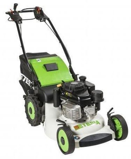 dz-img-11363.jpg Etesia Profi-Rasenmäher Pro 53 LH2 – Bild 1