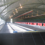 Mobiler Hühnerstall für 650 Hühner 75m2 – Bild 2