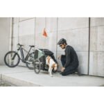 Thule Bexey L Hunde-Fahrradanhänger – Bild 4