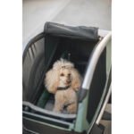 Thule Bexey L Hunde-Fahrradanhänger – Bild 11