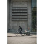 Thule Bexey L Hunde-Fahrradanhänger – Bild 5